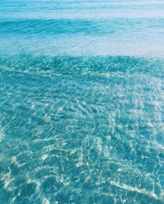 A Gentle Breeze 

📸 @yasmingabaly 

#almazabay #amazingalmaza #travcoproperties #shores #water #vacation #beach #swim #crystalclear #mediterranean #beachesoftheworld  #relax #egypt #views #2023 #free #ripple