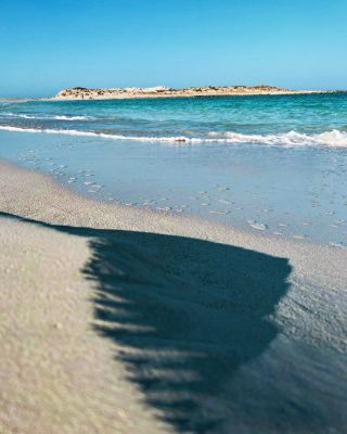 Almaza Bay’s Expression of Nature. 

#almazabay #amazingalmaza #travcoproperties #shores #water #vacation #beach #swim #crystalclear #mediterranean #beachesoftheworld  #relax #egypt #views

Tax Registration no.:315-230-886