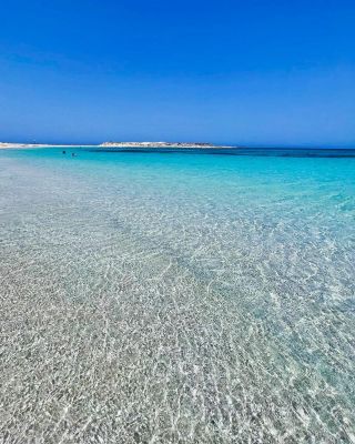 From the Mediterranean to the Red Sea, the creators of Almaza Bay bring you Ras Soma ➡️

#almazabay #amazingalmaza #travcoproperties #shores #water #vacation #beach #swim #crystalclear #mediterranean #beachesoftheworld  #relax #egypt #views #bay #beachlodge #rassoma #rassomaresort #mountain #nature #redsea #northcoast #eastcoast 

Tax Registration no.:315-230-886