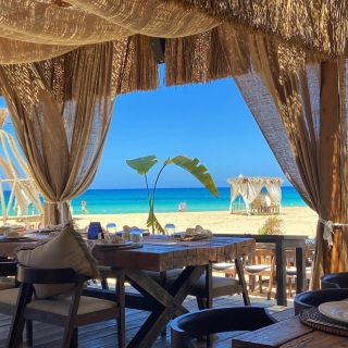 Unmatched vibes 🎶 

#almazabay #amazingalmaza #travcoproperties #shores #water #vacation #beach #swim #crystalclear #mediterranean #beachesoftheworld #relax #egypt #views #love #2024 #free #summer