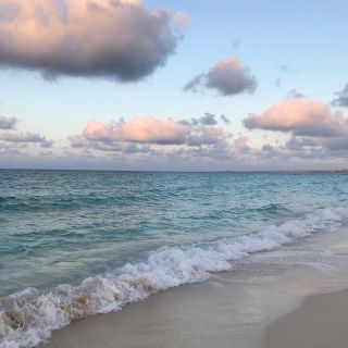 Pastel sunsets 🌊 

#almazabay #amazingalmaza #travcoproperties #shores #water #vacation #beach #swim #crystalclear #mediterranean #beachesoftheworld #relax #egypt #views #love #2024  #free #summer