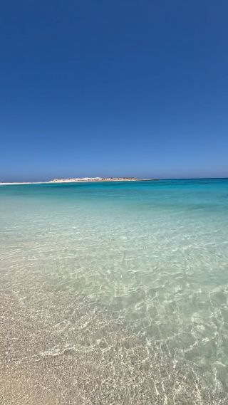 Crystal waters at The Bay! 🌊✨ 

#almazabay #amazingalmaza #summer2024 #northcoast #travcoproperties